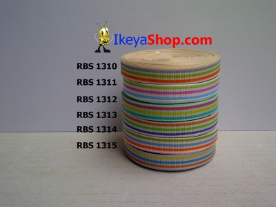 Pita RBS 1310 1315  large2